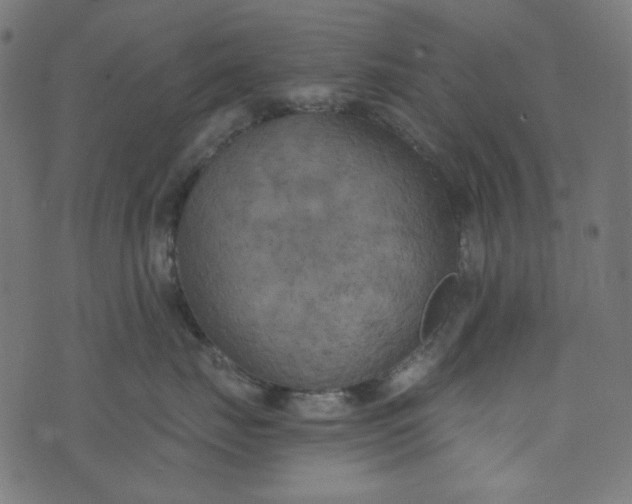 X0000073720671200608171205