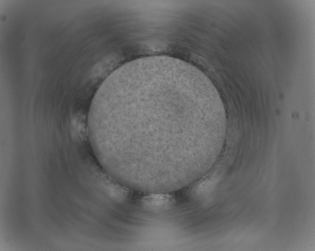 X0000073720672200608171205