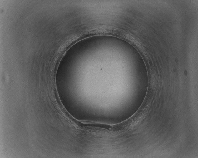 X0000073720673200608171204