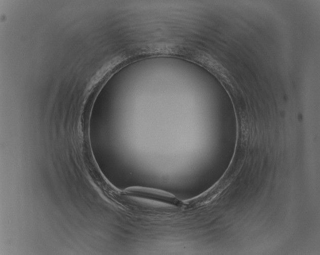 X0000073720674200608171204