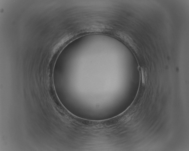 X0000073720675200608171204