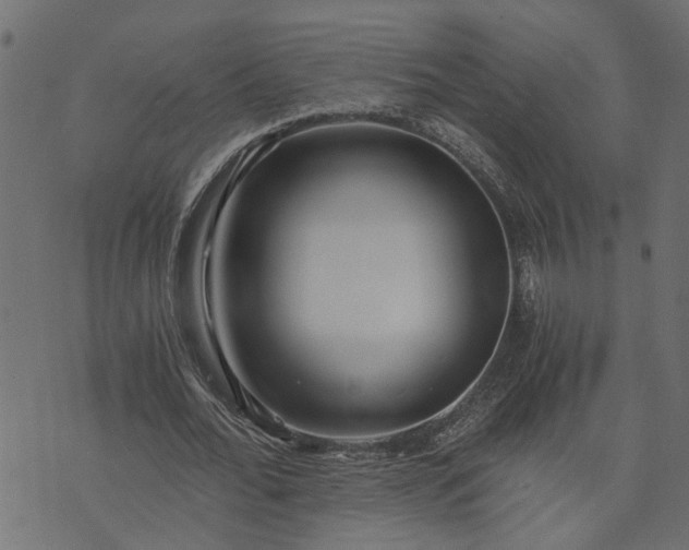 X0000073720676200608171204