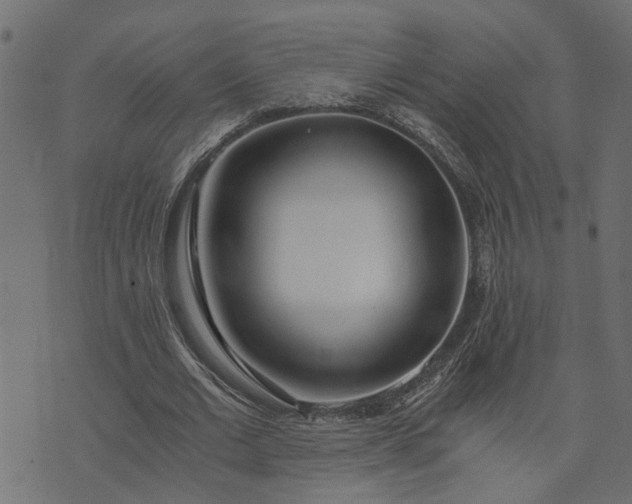 X0000073720677200608171204