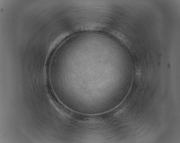 X0000073720678200608171204