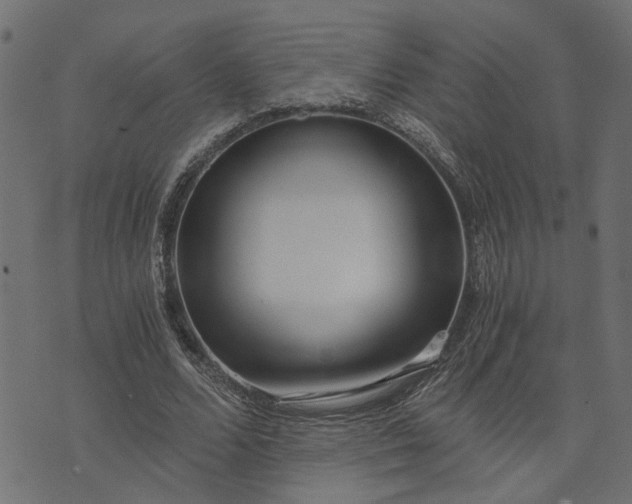 X0000073720680200608171204