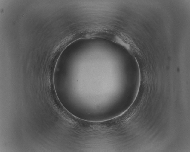 X0000073720681200608171204