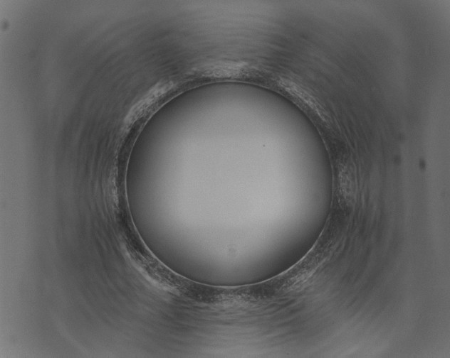 X0000073720682200608171204