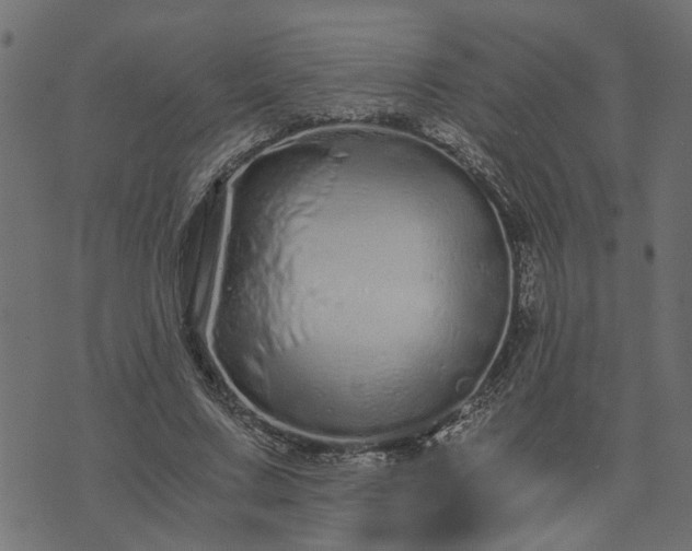 X0000073720683200608171204