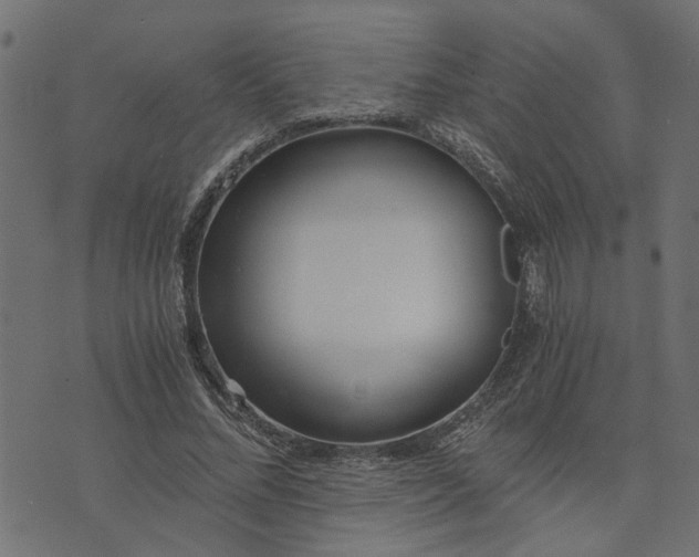 X0000073720684200608171204