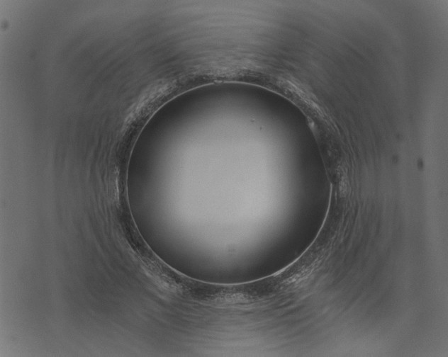 X0000073720685200608171204