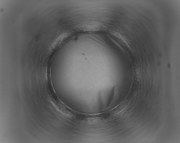 X0000073720686200608171204