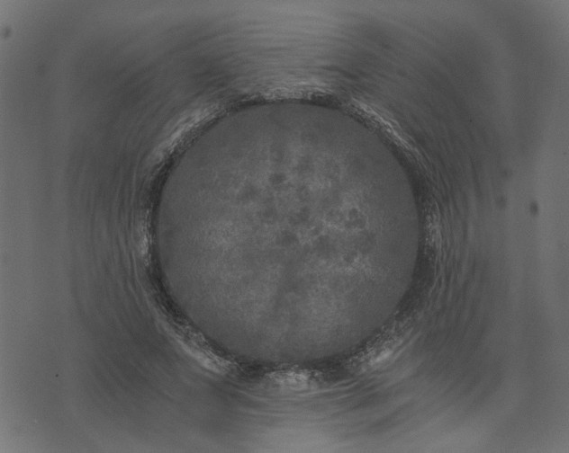 X0000073720687200608171204