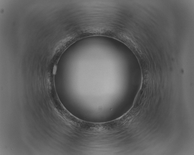 X0000073720688200608171204