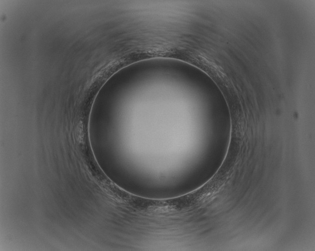 X0000073720689200608171204