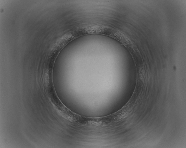 X0000073720690200608171204