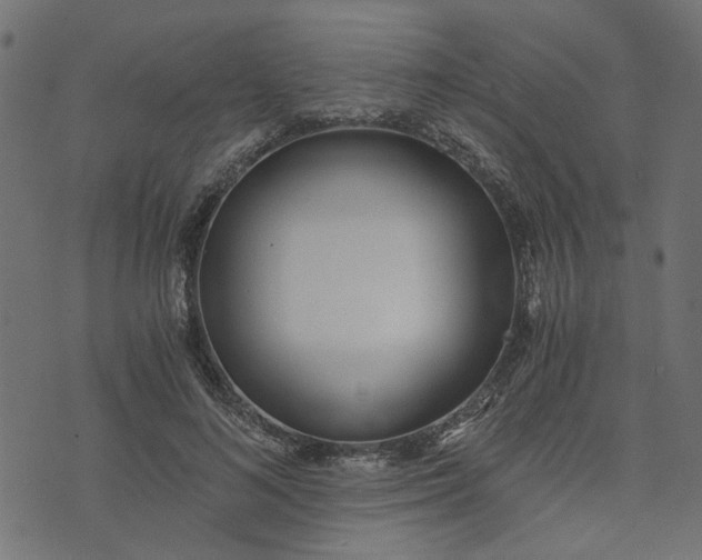 X0000073720692200608171204