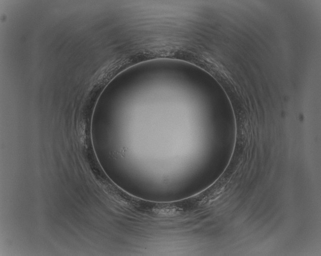 X0000073720693200608171204