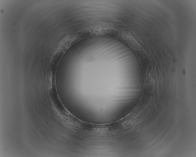 X0000073720694200608171204