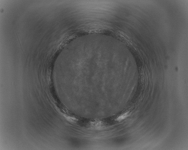 X0000073720695200608171204