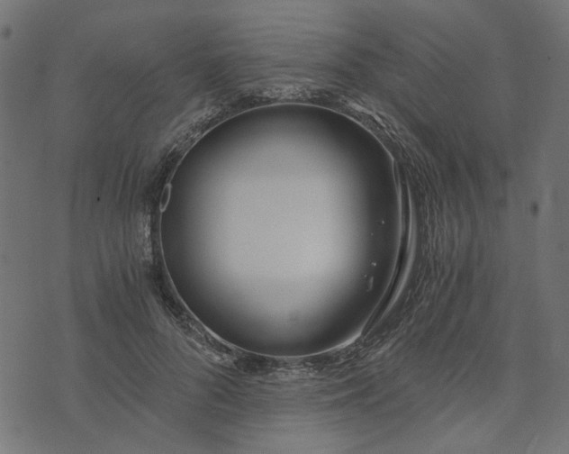 X0000073720696200608171204