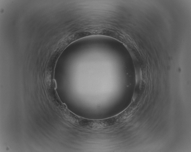 X0000073720697200608171204