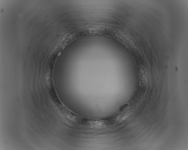 X0000073720698200608171204