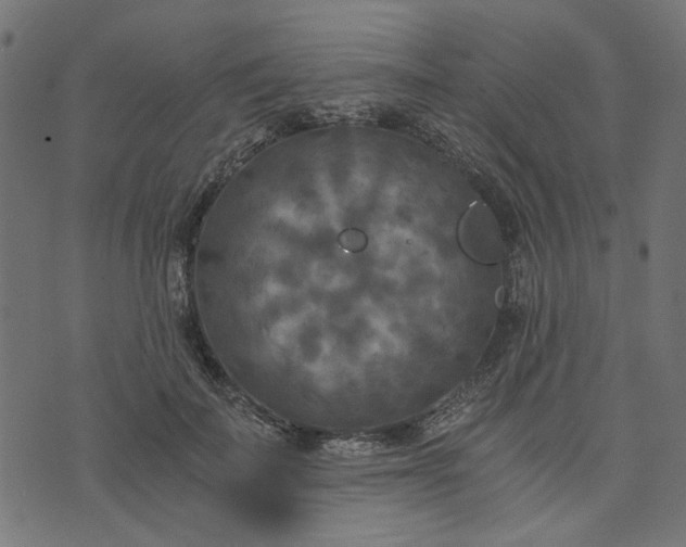 X0000073720699200608171204