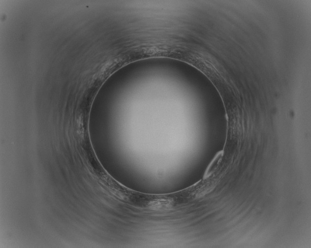 X0000073720700200608171204