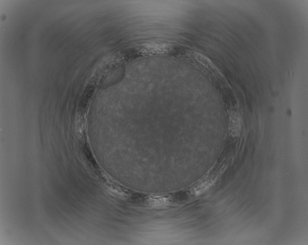 X0000073720701200608171204