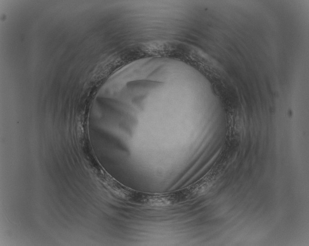 X0000073720702200608171204