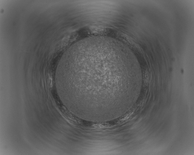 X0000073720703200608171204