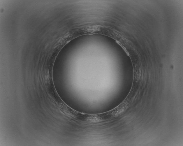 X0000073720704200608171203