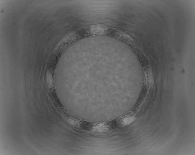 X0000073720705200608171203