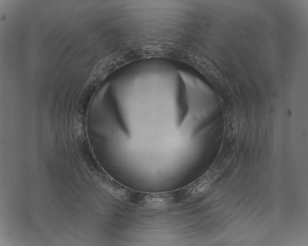 X0000073720706200608171203