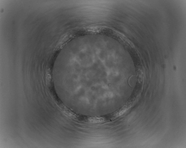 X0000073720707200608171203