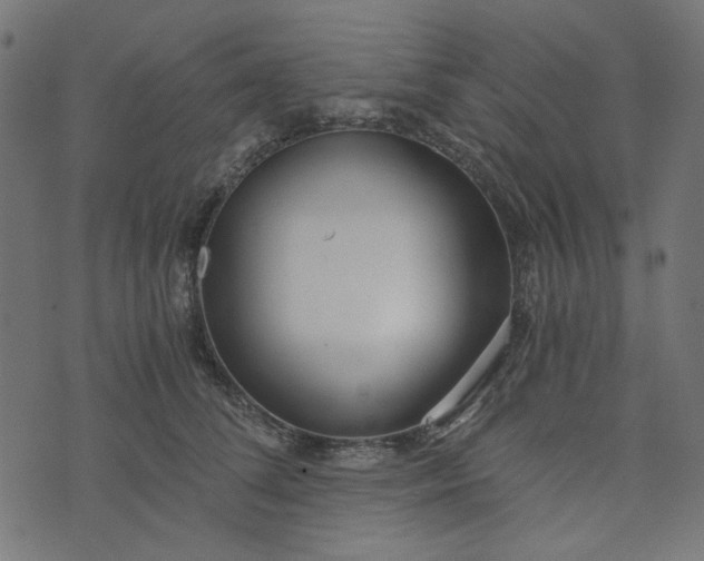 X0000073720708200608171203