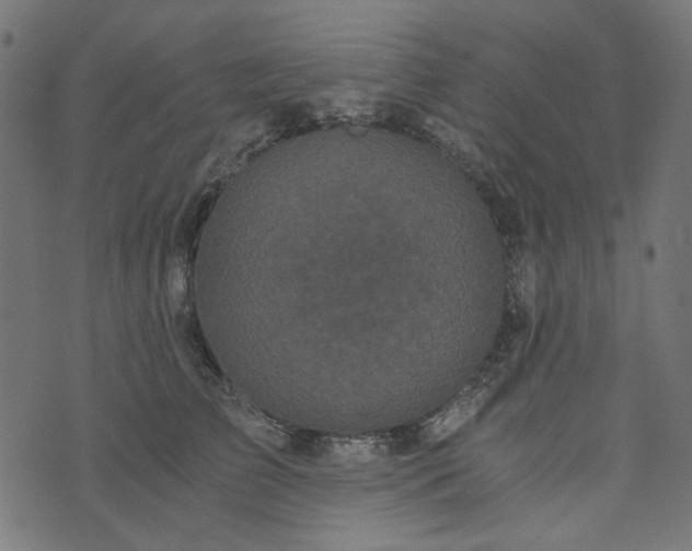 X0000073720709200608171203