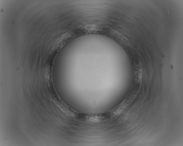 X0000073720710200608171203