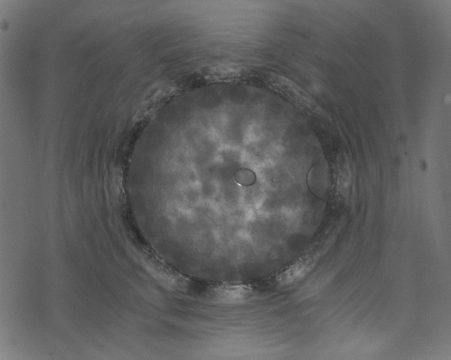 X0000073720711200608171203