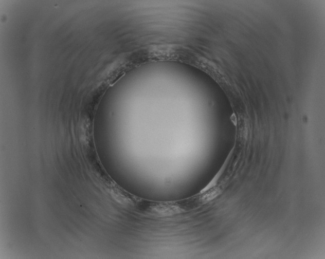 X0000073720712200608171203