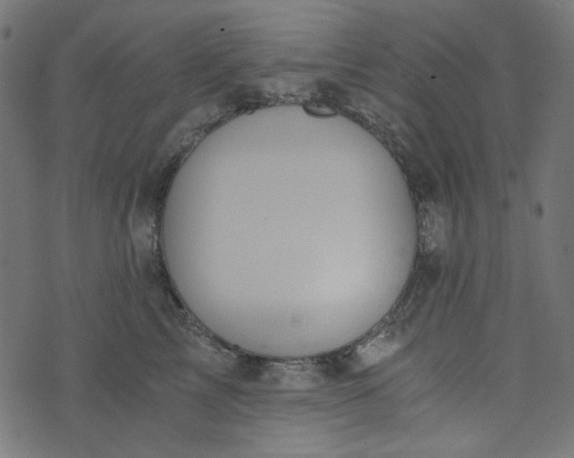 X0000073720713200608171203