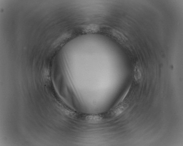 X0000073720714200608171203