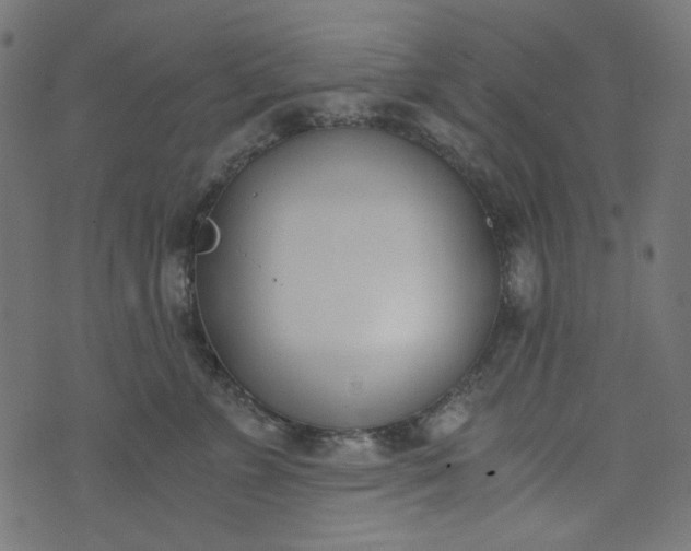 X0000073720715200608171203