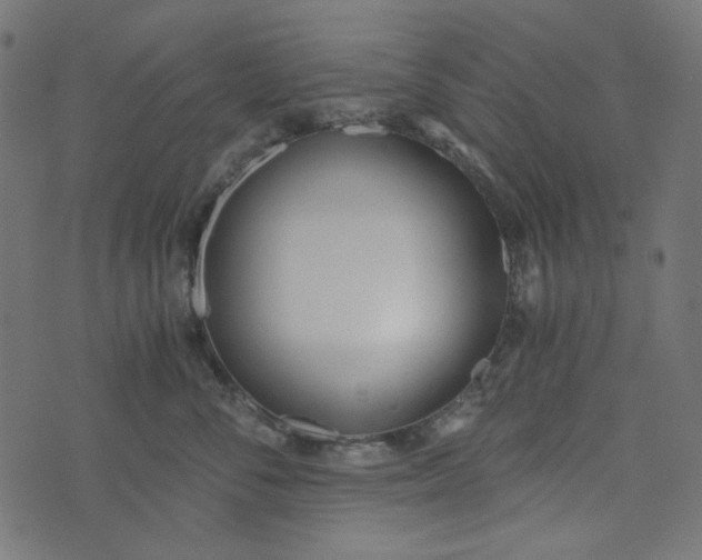 X0000073720716200608171203