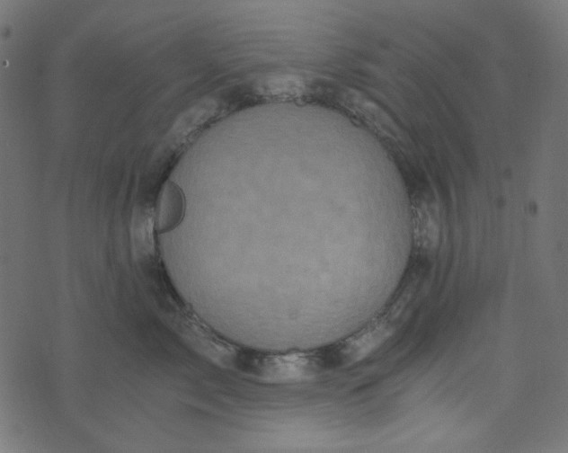 X0000073720717200608171203