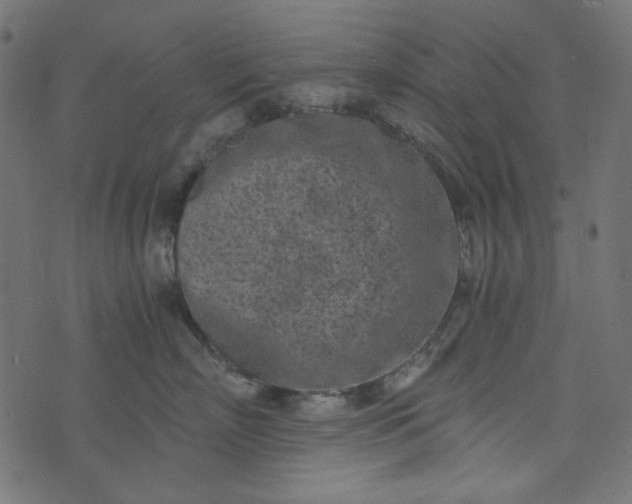 X0000073720718200608171203