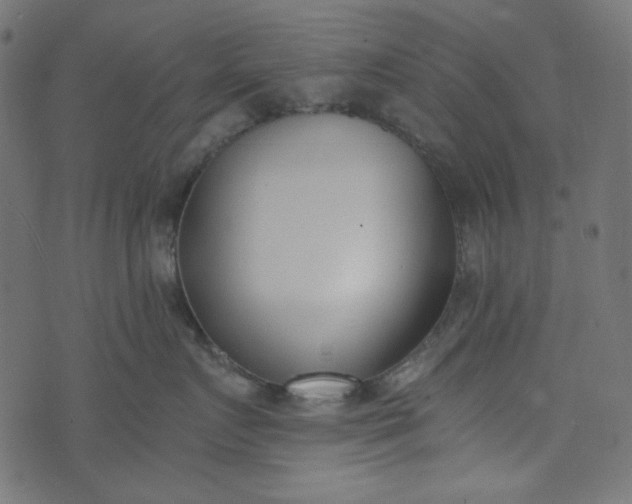 X0000073720719200608171203