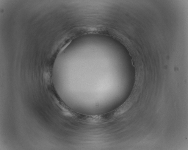 X0000073720720200608171203