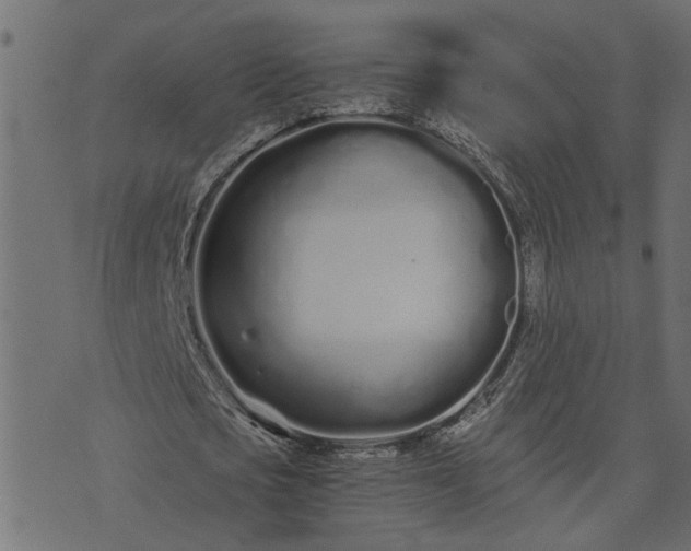 X0000073720721200608171202