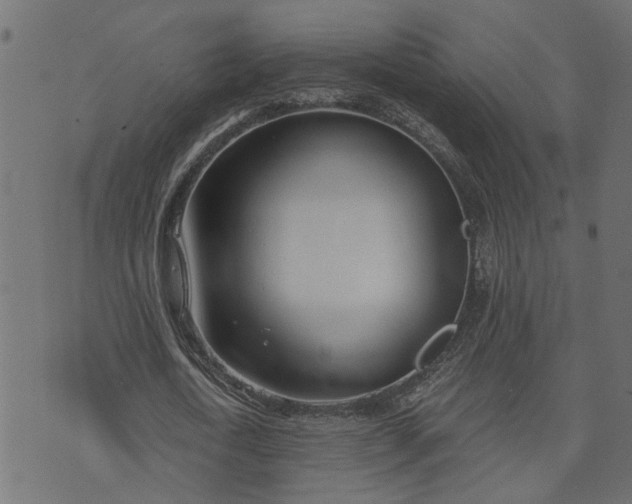 X0000073720722200608171202